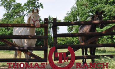 Au Thomas’ Ranch tous les cavaliers trouvent leur bonheur