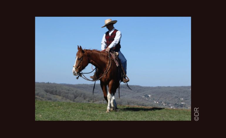 Western Horsemanship : faites le plein de démos à Lyon