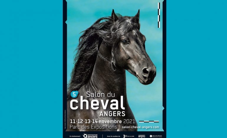 A très vite au Salon du Cheval d'Angers (49)