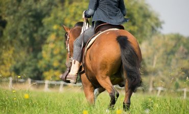 Deux ostéopathes vous invitent à revoir vos postures à cheval