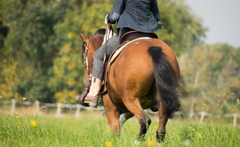Deux ostéopathes vous invitent à revoir vos postures à cheval