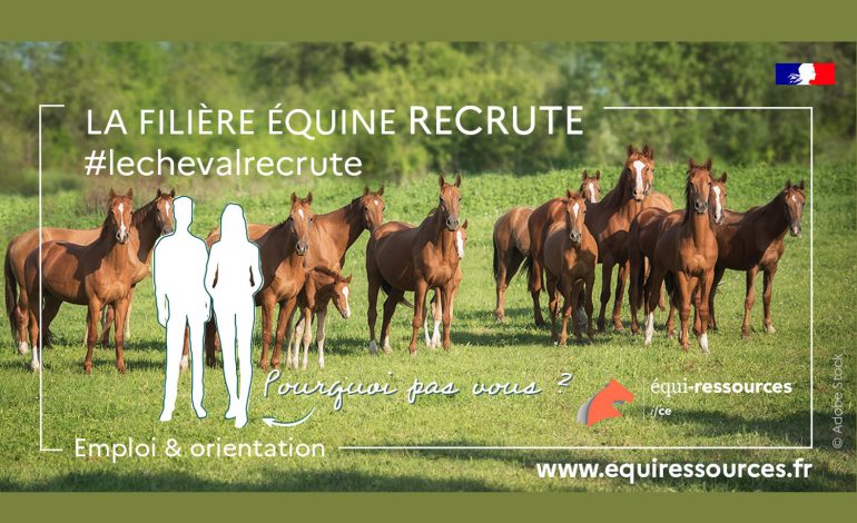 1 000 postes à pourvoir dans la filière équine