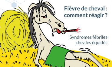 Les prochaine Rencontres du RESPE concernent tous les propriétaires de chevaux