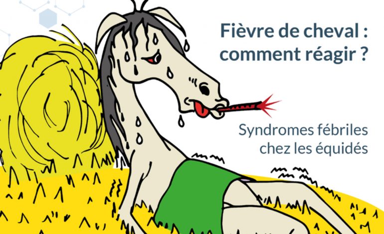 Les prochaine Rencontres du RESPE concernent tous les propriétaires de chevaux