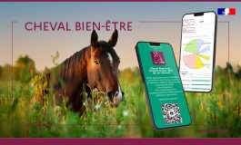 Une appli pour mesurer le bien-être de votre cheval