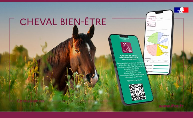 Une appli pour mesurer le bien-être de votre cheval
