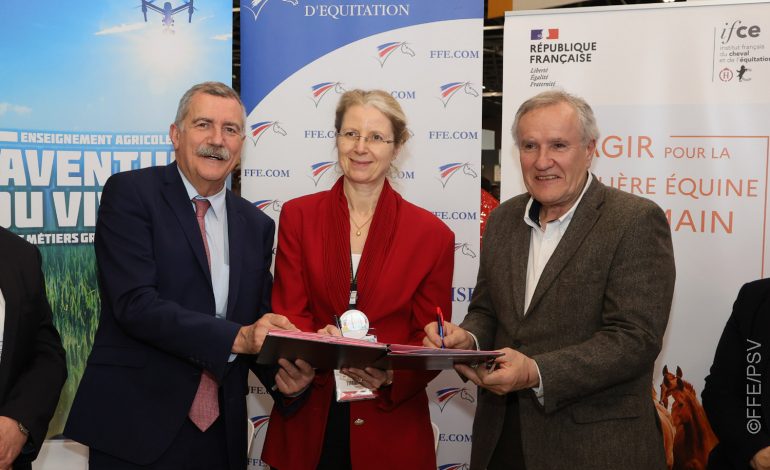 Métiers du cheval : bientôt un diplôme d’animateur soigneur