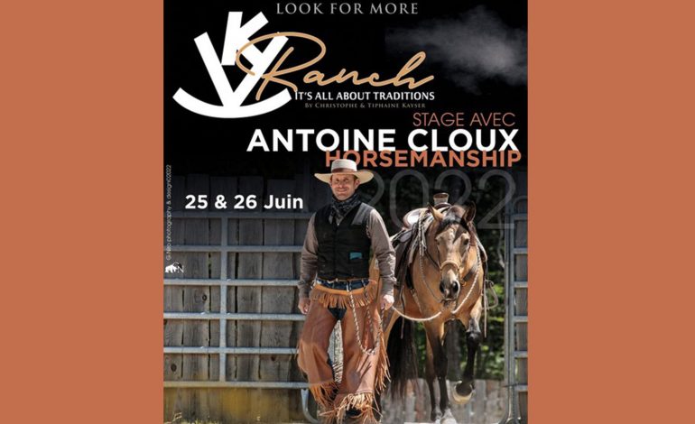 Bientôt, un stage de horsemanship dans le Loiret