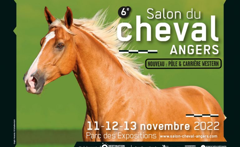 Le western fait carrière au Salon du Cheval d’Angers !