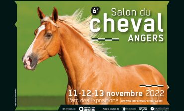 Salon du Cheval d’Angers : le western a son village