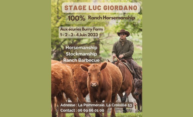 Ranch Horsemanship en Mayenne