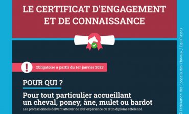 Détenteur d’équidé(s) : cette obligation vous concerne !