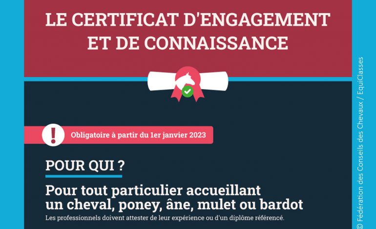 Détenteur d’équidé(s) : cette obligation vous concerne !