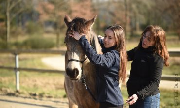 Formation à la médiation équine : inscrivez-vous avant le 1er décembre 2023