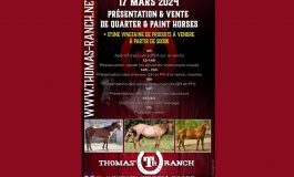 Vente de chevaux US en Anjou