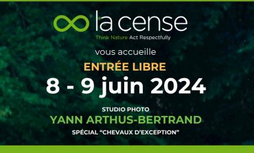 Vous et votre cheval dans l’objectif de Yann Arthus-Bertrand…