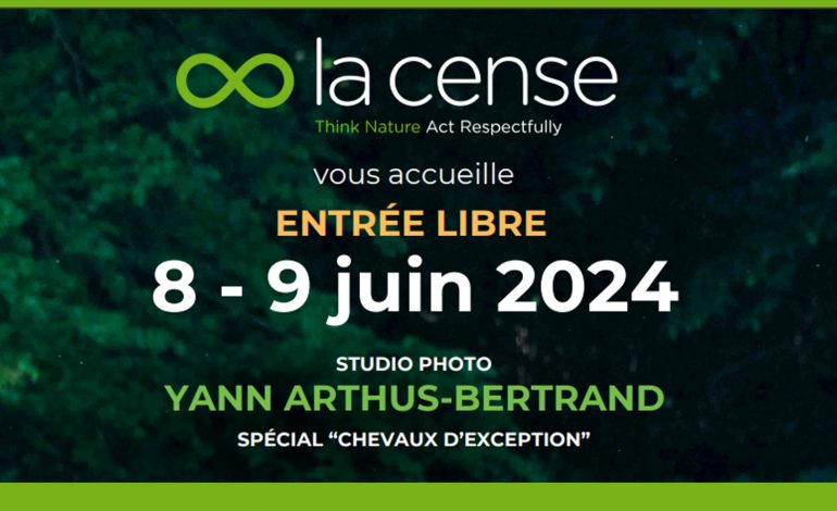 Vous et votre cheval dans l’objectif de Yann Arthus-Bertrand…