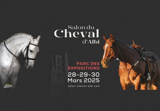 Albi, un salon où l’équitation western a la part belle