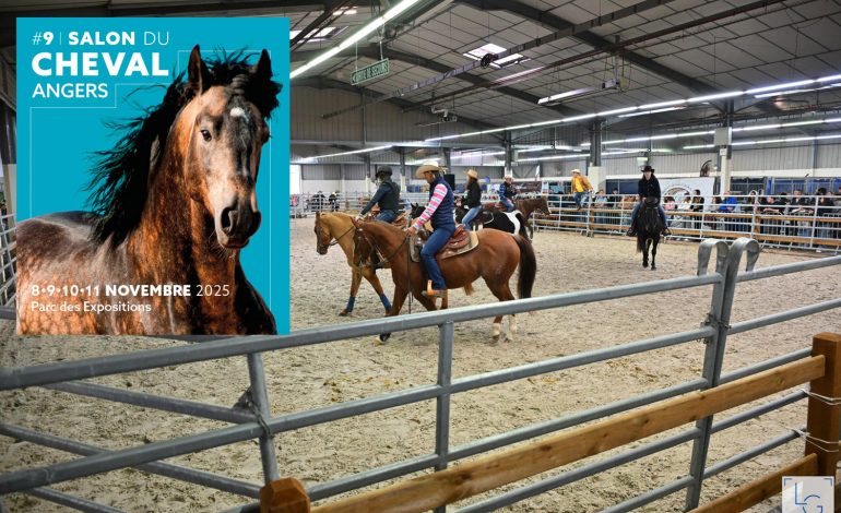 Salon du Cheval d’Angers 2025, toujours plus western !