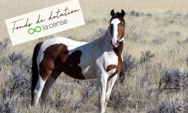 13 et 14 juin 2026, Yann Arthus-Bertrand, votre cheval et vous…