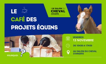 Filière équine : les projets se dessinent à Angers