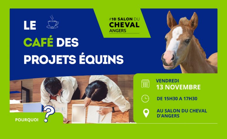 Filière équine : les projets se dessinent à Angers