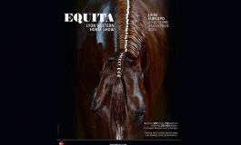 Equita 2026, c’est presque maintenant !