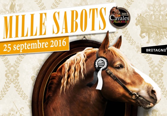 Cavaliers bretons, Lamballe (Côtes d’Armor) vous attend !