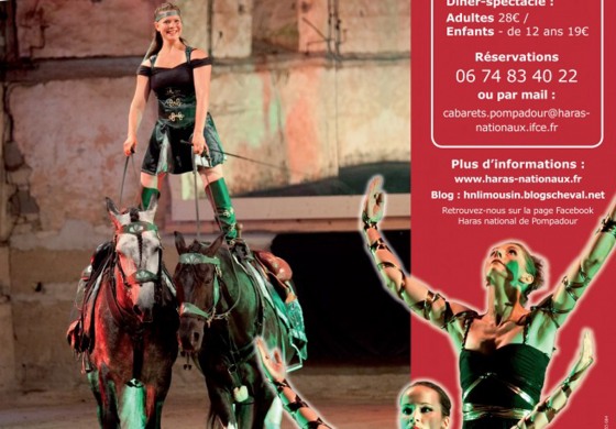 Un paint horse au Cabaret équestre de Pompadour (19) cet été 2013