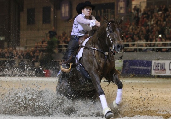 Salon du Cheval de Paris - Edition 2014