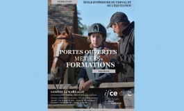 Pour en savoir plus sur les métiers du cheval…