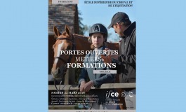 Pour en savoir plus sur les métiers du cheval…