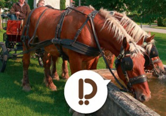 Le Doubs à cheval