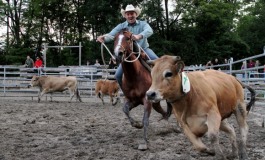 Contamine Sarzin (74) – Black Angus Ranch – AFET 3 – 12 juin 2016 – les photos...