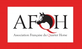 Quarante ans après la création de l’AFQH…