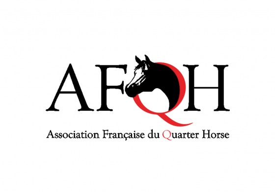 Faisons le point sur... L'équitation western en cette rentrée