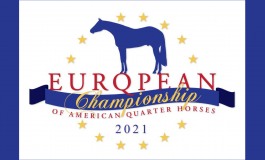 Sommet européen pour les quarter horses à Kreuth (Allemagne)