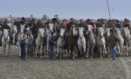 Chevaux et taureaux, un spectacle inoubliable en Camargue les 10 et 11 novembre 2017