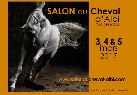 Albi fête le cheval du 3 au 5 mars 2017