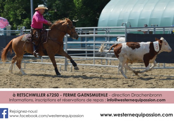 Ce week-end on trie le bétail en Alsace !