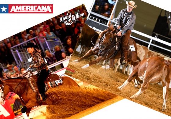 Americana 2019, les comptes sont bons !
