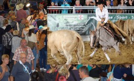 L’équitation western européenne s’annonce au mieux de sa forme pour Americana à Augsbourg (Allemagne)