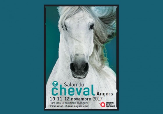 L'équitation western à l'honneur au Salon du Cheval d'Angers