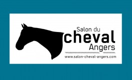 Salon : Angers passe un tour