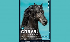 Angers prépare son 5ème salon du cheval