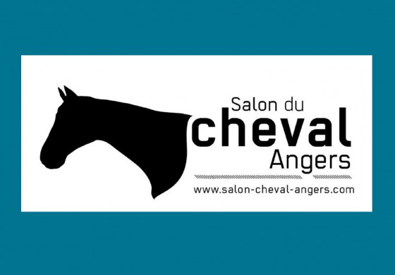 Salon : Angers passe un tour