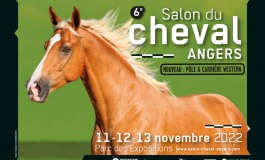 Le western fait carrière au Salon du Cheval d’Angers !