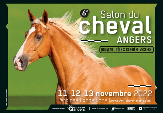 Le western fait carrière au Salon du Cheval d’Angers !
