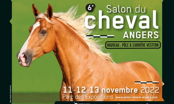 Le western fait carrière au Salon du Cheval d’Angers !