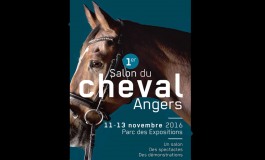 Visiteurs du Salon du cheval d’Angers, ne manquez pas Arnaud Ranch